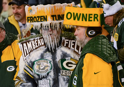 nfc divisional round green bay packers fans