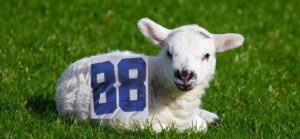 CeeDee Lamb Dallas Cowboys