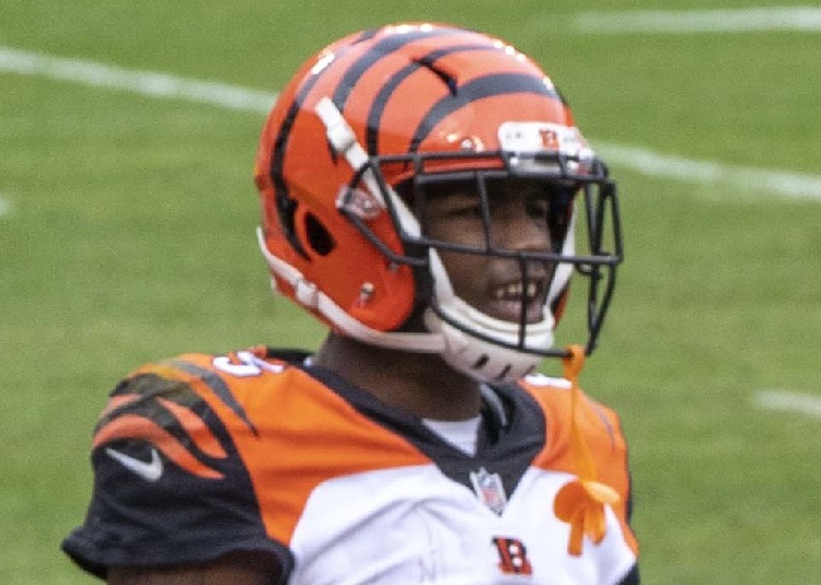 2022 Tee Higgins Fantasy Football Player Profile